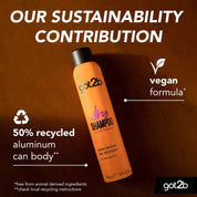Got2b Dry Shampoo Extra Texture 200ml